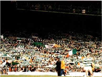 Welcome To The Jungle - Kerrydale Street Welcome To The Jungle - Kerrydale Street