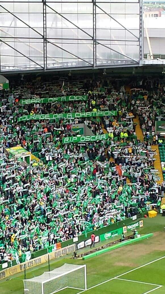 2014-05-11: Celtic 3-1 Dundee United, SP - Pic