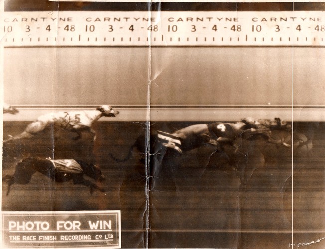 Celtic Park - Greyhound Racing - The Celtic Wiki