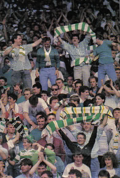 Celtic Scarves - Pic Celtic Scarves - Pic