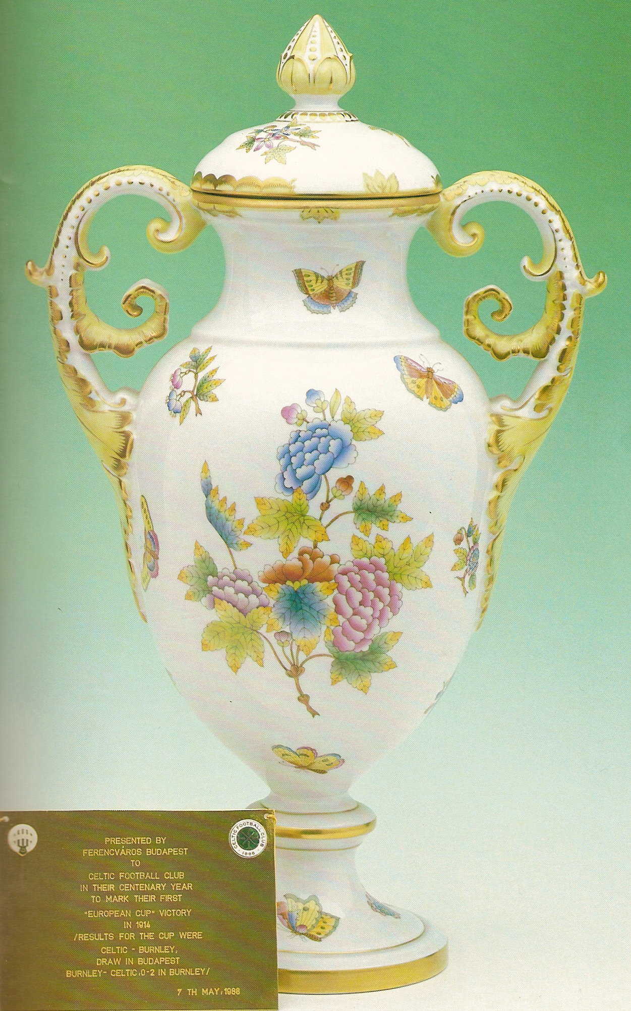 Budapest Cup - Kerrydale Street Budapest Cup - Kerrydale Street