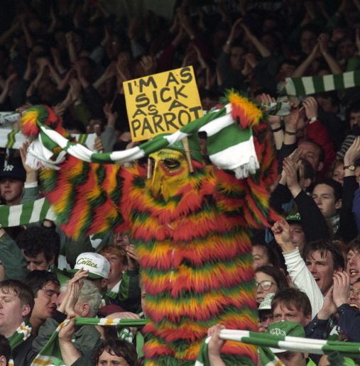 Sick as a parrot