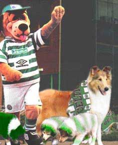 Mascot Pictures - Kerrydale Street Mascot Pictures - Kerrydale Street